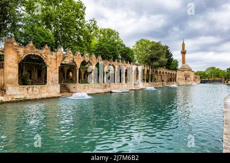 Balikligol (der Fischsee auf Englisch) in Sanliurfa, Türkei. Der historische Pool von Abraham oder der Pool des Heiligen Fischs in der Stadt Urfa, Türkei Stockfoto
