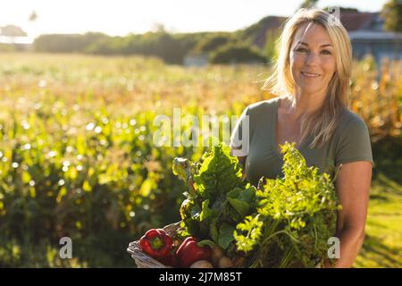 Porträt einer lächelnden kaukasischen Frau mittleren Erwachsenen, die Gemüse gegen die Ernte auf dem Bauernhof an einem sonnigen Tag trägt Stockfoto