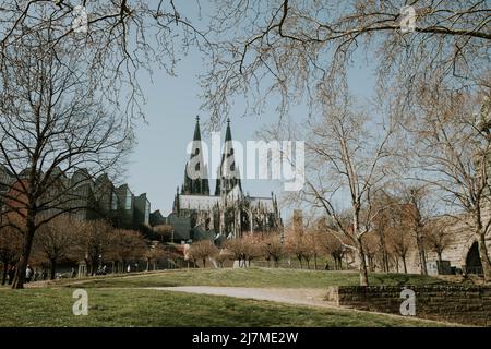 Rheingarten mit Blick auf den Kölner Dom Stockfoto