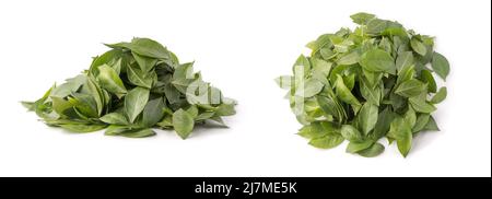 Haufen von frischem Henna auch als Mehndi Blätter bekannt, Kräuterblätter isoliert auf weißem Hintergrund, Sammlung in verschiedenen Winkeln Stockfoto
