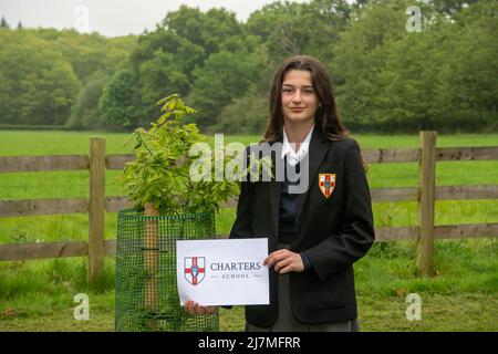 Ascot, Bergen, Großbritannien. 10.. Mai 2022. Charters Schulschülerin Lottie im Alter von 14 Jahren steht neben dem nominierten Baum ihrer Schule. In Verbindung mit der Ascot Racecourse und dem Crown Estate kamen Schüler von 70 Schulen in ganz Bekshire, um sich heute mit 70 Bäumen im Windsor Great Park fotografieren zu lassen, um an das Platin-Jubiläum Ihrer Majestät der Königin zu erinnern. Quelle: Maureen McLean/Alamy Live News Stockfoto