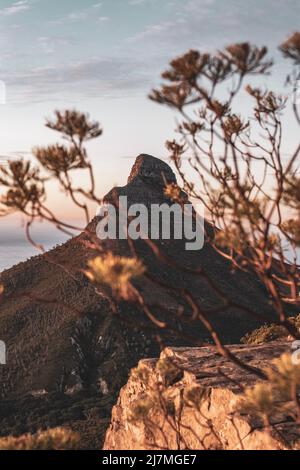 Lions Head, Kapstadt Stockfoto