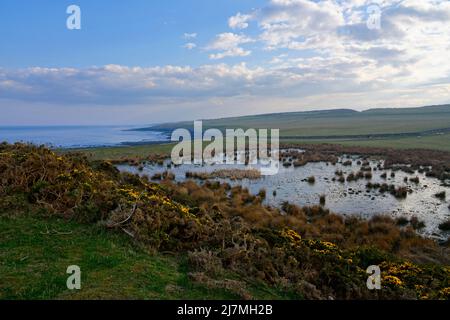 Dunkler Himmel und Nebel hängen über der Küste von Northumbrian in der Nähe von Alnwick. Stockfoto