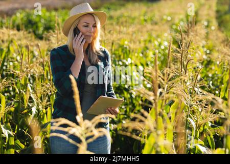 Mittlere Erwachsene kaukasische Agrarwissenschaftlerin mit digitalem Tablet, die über das Smartphone in einer Bio-Farm spricht Stockfoto