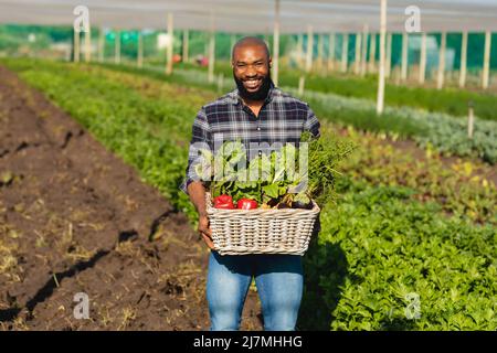 Porträt eines lächelnden, mittleren Erwachsenen, eines afroamerikanischen Glatzkopfes, der im Sommer Gemüse im Gewächshaus trägt Stockfoto