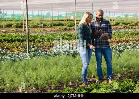 afroamerikanischer Mann diskutiert über digitale Tablets mit kaukasischer Mitarbeiterin im Gewächshaus Stockfoto