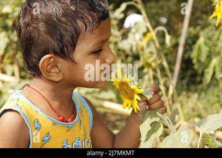 Niedliches indisches Kind mit Sonnenblume auf Naturhintergrund im Sommergarten. Stockfoto