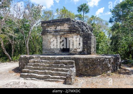 Nohoch nah (Casa Grande), San Gervasio Maya archaelogische Stätte, Cozumel, Quintana Roo, Mexiko Stockfoto