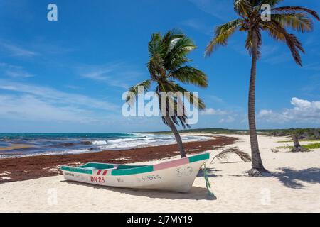 Farbenfrohes Fischerboot auf Playa Chen Rio, Cozumel, Quintana Roo, Mexiko Stockfoto