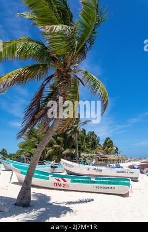 Bunte Fischerboote auf Playa Chen Rio, Cozumel, Quintana Roo, Mexiko Stockfoto