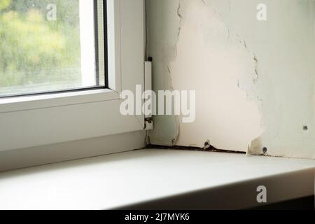 Schmutziges Fenster mit einer Schwelle mit Schimmel von Feuchtigkeit, Pilz auf dem Fenster in der Wohnung, reparieren Stockfoto