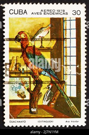 KUBA - UM 1978: Eine auf Kuba gedruckte Briefmarke zeigt Ara Tricolor, Bird, um 1978 Stockfoto