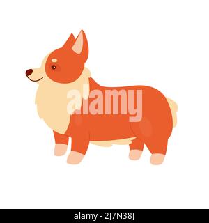 Niedliches Corgi-Haustier. Heimische schöne Welpen, Familienfreund, Seitenansicht der stehenden Corgi Vektor-Illustration Stock Vektor