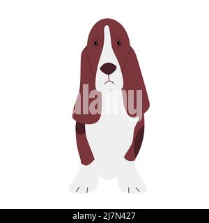 Basset Hund Hund. Lange Ohren Haustier, häusliche Familie doggie Vektor-Illustration Stock Vektor