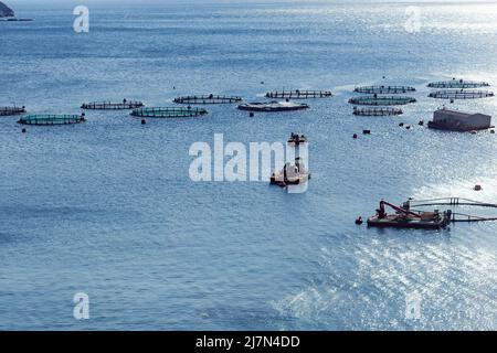 Aquakultursiedlung, Fischfarm mit schwimmenden Zirkelkäfigen um die Bucht von Attica in Griechenland Stockfoto