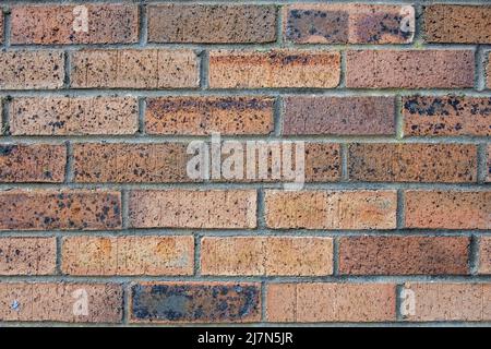 Wand aus Terrakotta-Ziegeln, gealterte Oberfläche mit poröser Textur und gedämpften Farben, Hintergrund- oder Hintergrundinspiration für ein langlebiges Vintage-Äußere Stockfoto
