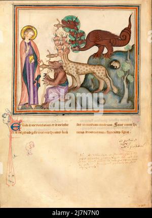 Die Cloisters Apokalypse ca. 1330 - die Apokalypse oder das Buch der Offenbarung, Johannes der Evangelist, Giovanni evangelista, während seines Exils auf der griechischen Insel Patmos. In diesem Bild - die unreinen Geister Stockfoto