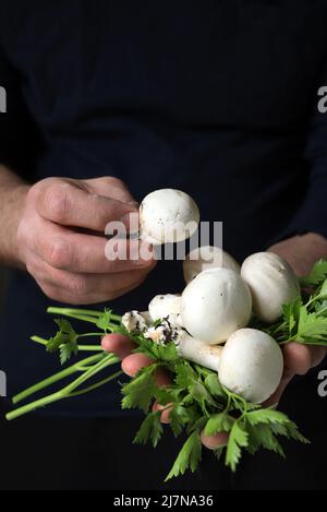 Die Hände des Mannes halten Champignon-Pilz und Petersilie auf schwarzem Hintergrund. Vegetarisch gesunde Lebensmittel. Nahaufnahme. Stockfoto