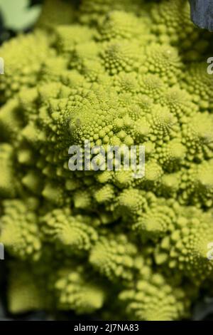 Nahaufnahme eines rohen Romanesco auf Grün Stockfoto