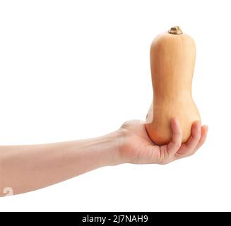 butternut Squash in Hand Pfad isoliert auf weiß Stockfoto