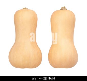 butternut Squash Pfad isoliert auf weiß Stockfoto