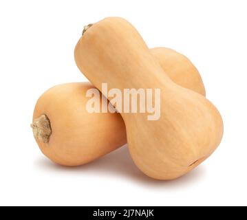 butternut Squash Pfad isoliert auf weiß Stockfoto