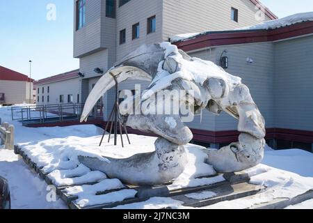 Utqiagvik, Vereinigte Staaten von Amerika. 22. April 2022. Inupiat Heritage Center und Museum am North Slope Borough, 22. April 2022 in Utqiagvik, Alaska. Das Zentrum würdigt die Beiträge der Eingeborenen Alaskas zur Geschichte des Walfangs sowie die Bereitstellung von Bildungsprogrammen für die Inupiat-Bevölkerung. Bild: Tami A. Heilemann/USA Interior Department/Alamy Live News Stockfoto