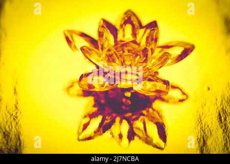 Kristalllotus auf glänzend gelbem Hintergrund mit Lichtreflexion. Symbol für das Manipulura-Chakra. Stockfoto