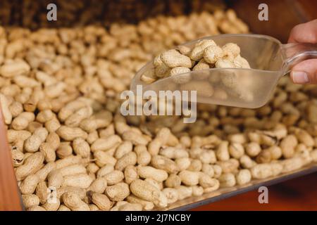 Rohe Erdnüsse in Schale Schaufel auf der Theke in Bio-Supermarkt. Stockfoto