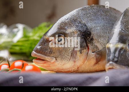 Frischer dorado-Fisch, auf einem Holzbrett, zwei Köpfe aus der Nähe. Stockfoto