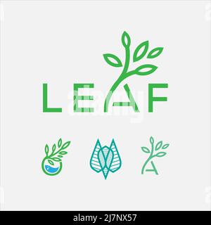 Vektor mit Blattbuchstaben, Eco Logo Design Stockfoto
