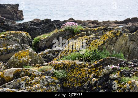 Vault Beach 290422 Stockfoto