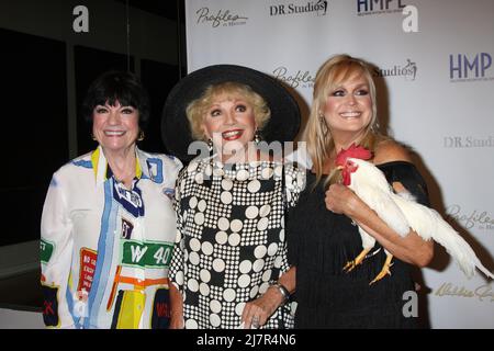 LOS ANGELES - 14. MAI: Jo Anne Worley, Ruta Lee, Catherine Hickland beim VIP-Empfang „Debbie Reynolds – The Auction Finale“; Auktion von www.ProfilesInHistory.com im Debbie Reynolds Dance Studio am 14. Mai 2014 in North Hollywood, CA Stockfoto