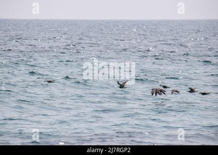 Vault Beach 290422 Stockfoto