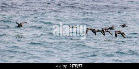 Vault Beach 290422 Stockfoto