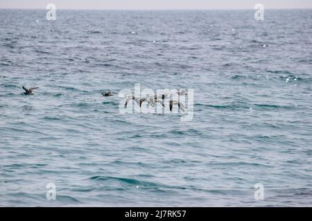 Vault Beach 290422 Stockfoto