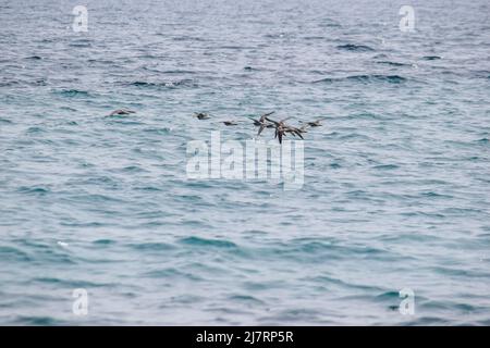 Vault Beach 290422 Stockfoto