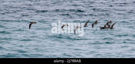 Vault Beach 290422 Stockfoto
