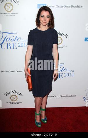 LOS ANGELES - APR 25: Alyson Hannigan beim jährlichen „Taste for A Cure“ 19. in Beverly Wilshire am 25. April 2014 in Beverly Hills, CA Stockfoto