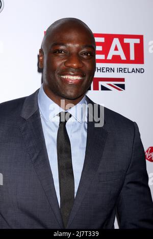 LOS ANGELES - 28. FEB: Adewale Akinnuoye-Agbaje beim 2014. GROSSEN britischen Oscar-Empfang in der British Residence am 28. Februar 2014 in Los Angeles, CA Stockfoto