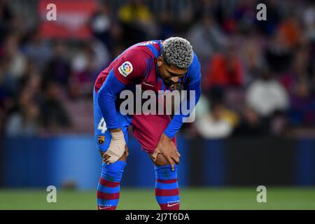 Barcelona, Spanien, 10/05/2022, FC BARCELONA / RC CELTA Barcelona, Spanien, 10. Mai 2022. Ronald Araujo (4) vom FC Barcelona während des spanischen La Liga-Spiels zwischen dem FC Barcelona und RC Celta im Camp Nou Stadium. Stockfoto