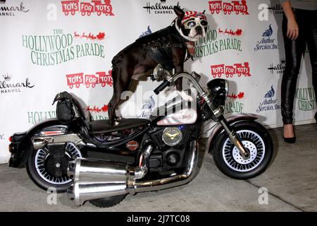 LOS ANGELES - NOV 30: Chopper bei der Hollywood Christmas Parade 2014 auf dem Hollywood Boulevard am 30. November 2014 in Los Angeles, CA Stockfoto