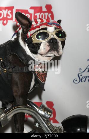 LOS ANGELES - NOV 30: Chopper bei der Hollywood Christmas Parade 2014 auf dem Hollywood Boulevard am 30. November 2014 in Los Angeles, CA Stockfoto