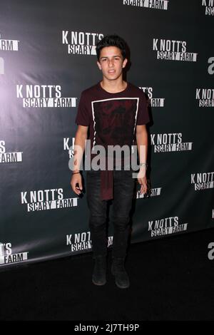 LOS ANGELES - OCT 3: Aramis Knight auf der Knott's Scary Farm VIP-Eröffnung auf der Knott's Berry Farm am 3. Oktober 2014 im Buena Park, CA Stockfoto