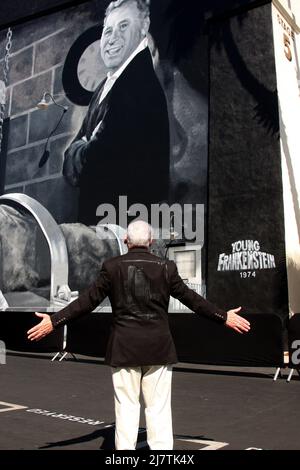 LOS ANGELES - Okt 23: Mel Brooks bei der Mel Brooks Street Widmung und Young Frankenstein Mural Präsentation beim 20. Century Fox Lot am 23. Oktober 2014 in Century City, CA Stockfoto