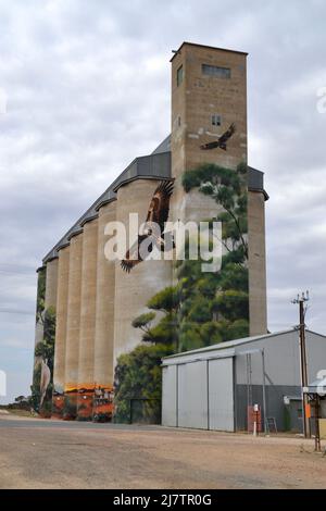 Porträtansicht eines Wandbildes in der Mallee-Stadt Karoonda, Südaustralien, das Teil des australischen Silo Art Trail ist Stockfoto