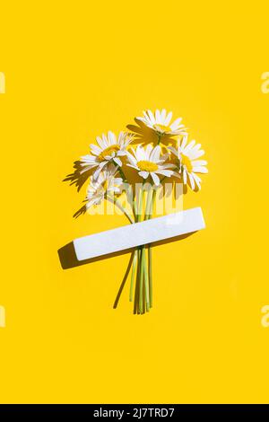 Kreatives Layout aus Kamillenblumen auf gelbem Hintergrund. Draufsicht Flat Lay Mock Up. Minimalkonzept für den Sommer. Vorlage für Ihr Design, Gruß Stockfoto
