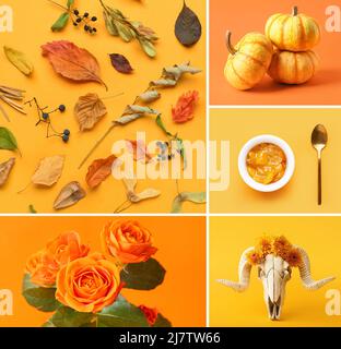 Collage von Fotos in orangen Farben Stockfoto
