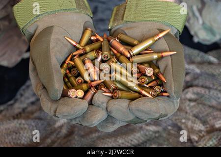 Ukrainischer Soldat in Handschuhen hält Kugeln aus einem Maschinengewehr auf einem Tarnhintergrund, Waffen der ukrainischen Armee, Krieg in der Ukraine Stockfoto