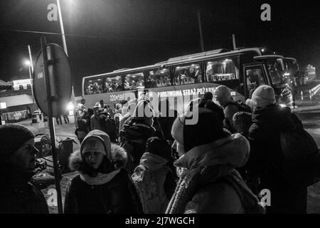 Michael Bunel / Le Pictorium - Flüchtlinge an der polnisch-ukrainischen Grenze nach dem Einmarsch der russischen Armee in die Ukraine - 4/3/2022 - - AT Stockfoto